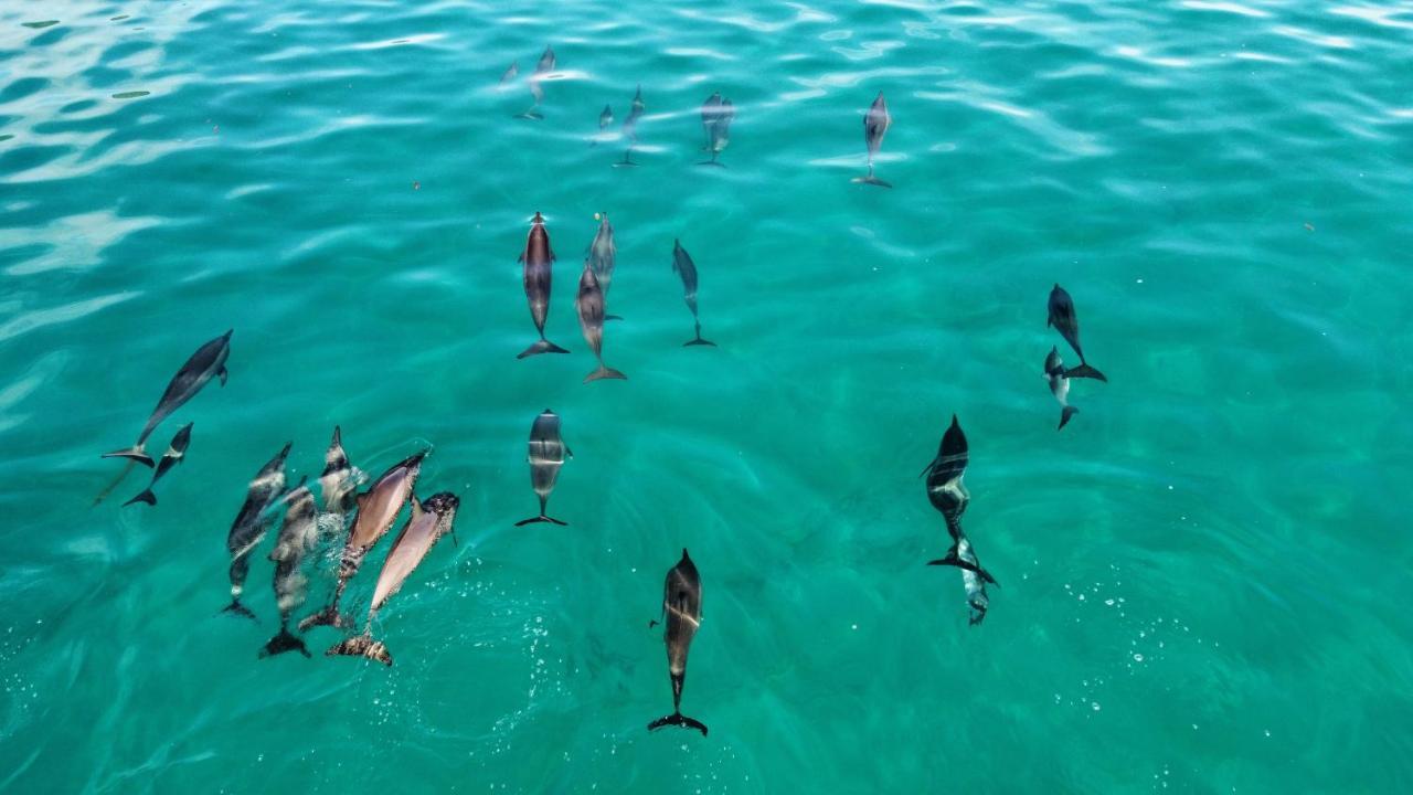 Superbe Bord De Mer, Acces Lagon Et Piscine Privee Paea ภายนอก รูปภาพ